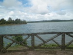 caliraya lake (2).JPG